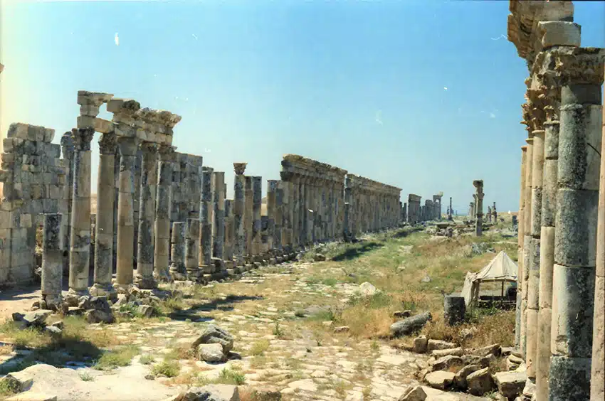 1151 - Apamea antiche rovine - Siria