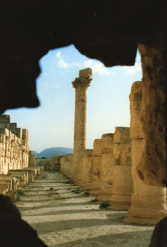 1139 - Palmira prima della sua distruzione - Siria