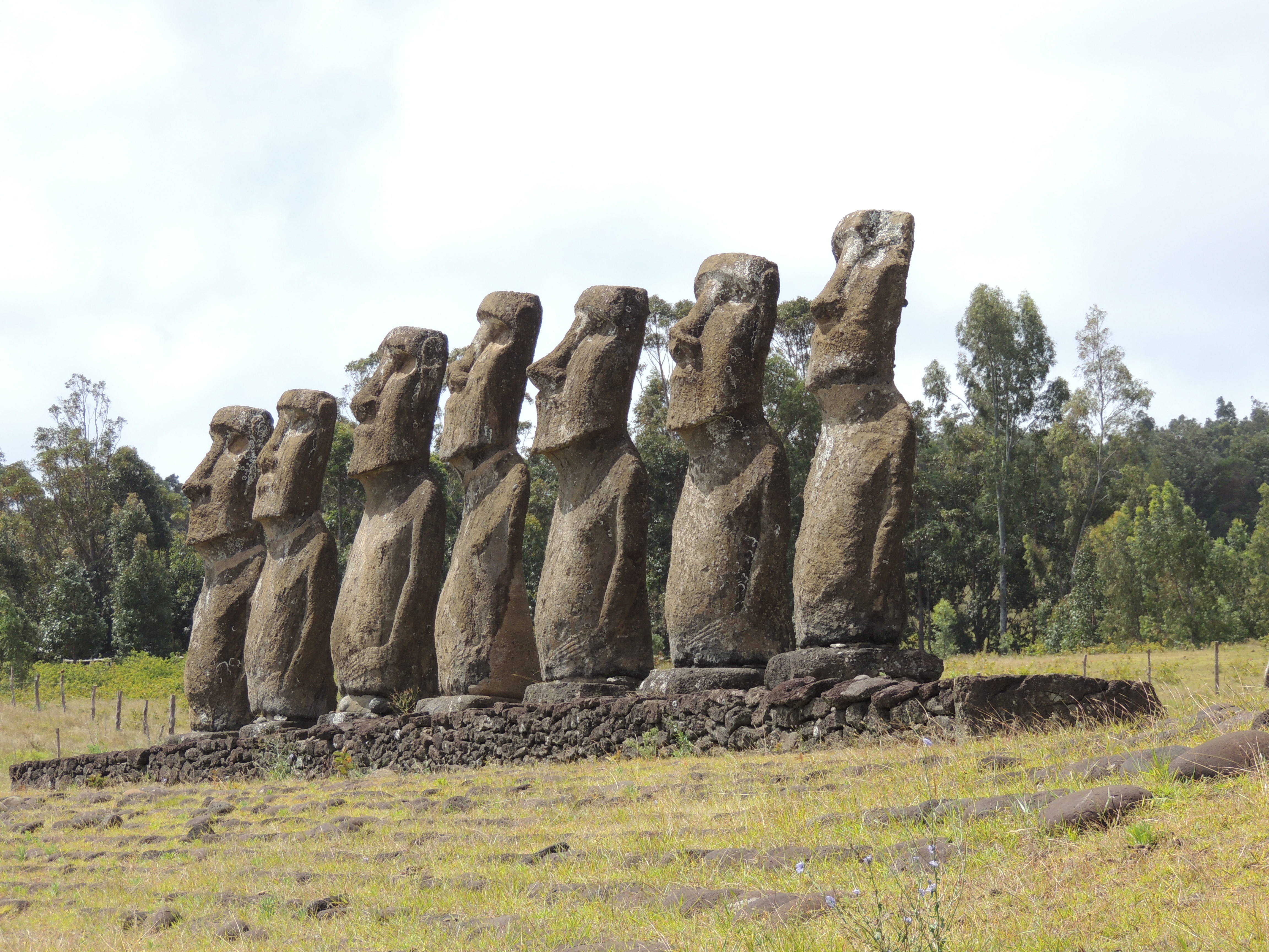 40 - Moai (Isola di Pasqua)