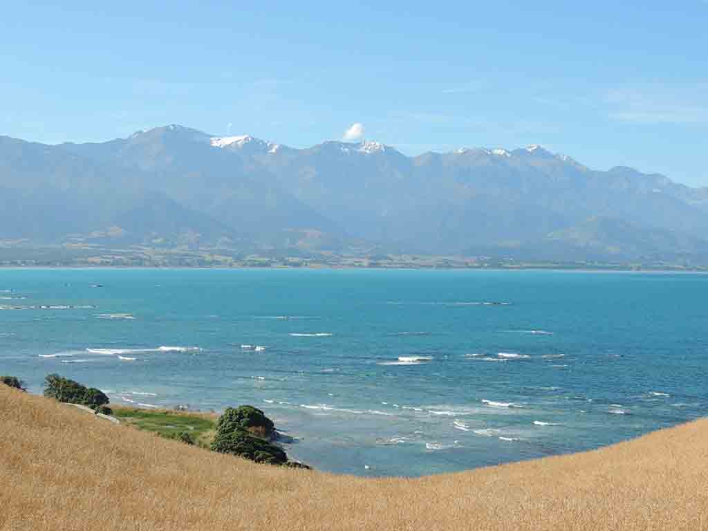 160 - La penisola di Kaikoura - Nuova Zelanda