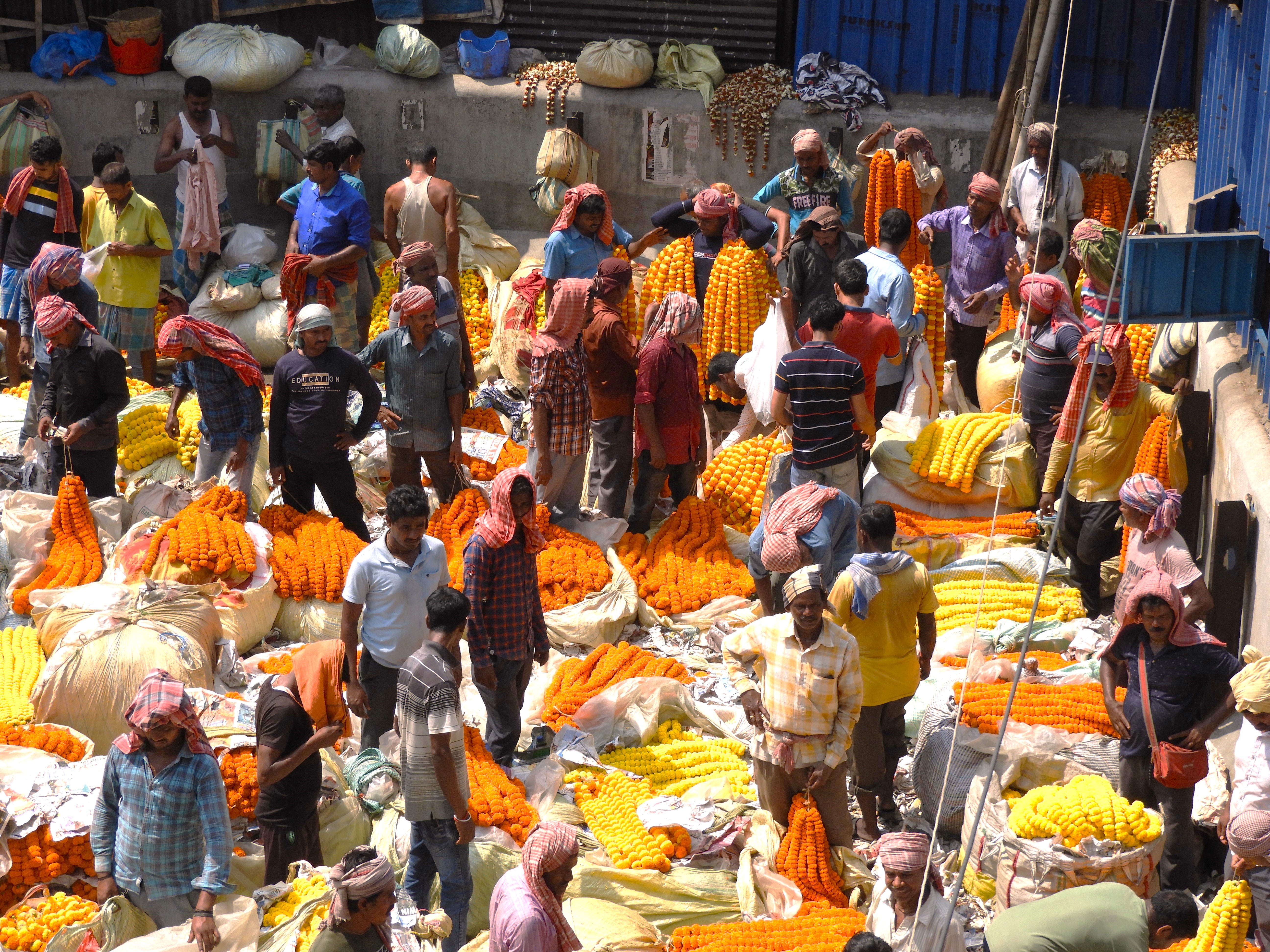 1244 - Mercato dei fiori di Mullik Ghat a Calcutta - India