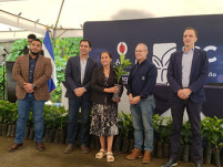 El Salvador, la Cooperazione italiana consegna 840 mila piante di caffÃ¨ ai piccoli produttori