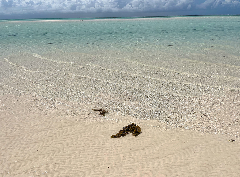 40 - Isola Sardegna2 a Malindi - Kenya