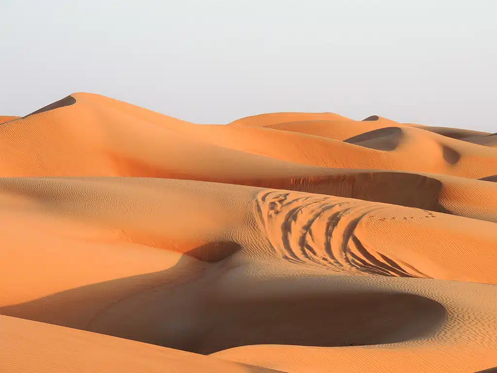 1059 - Deserto di Wahiba Sands