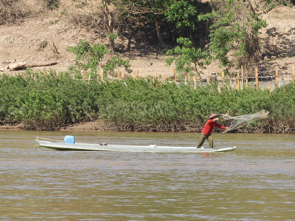 1280 - Pescatore sul fiume Mekong 