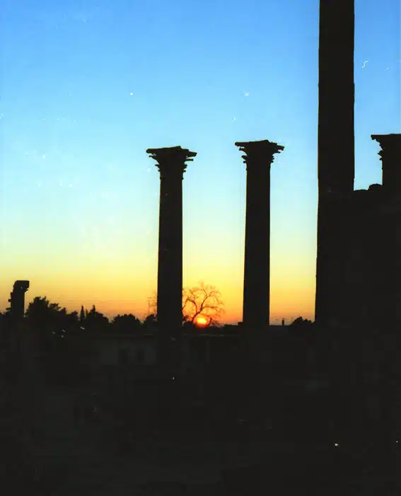 1147 - Palmira prima della sua distruzione - Siria